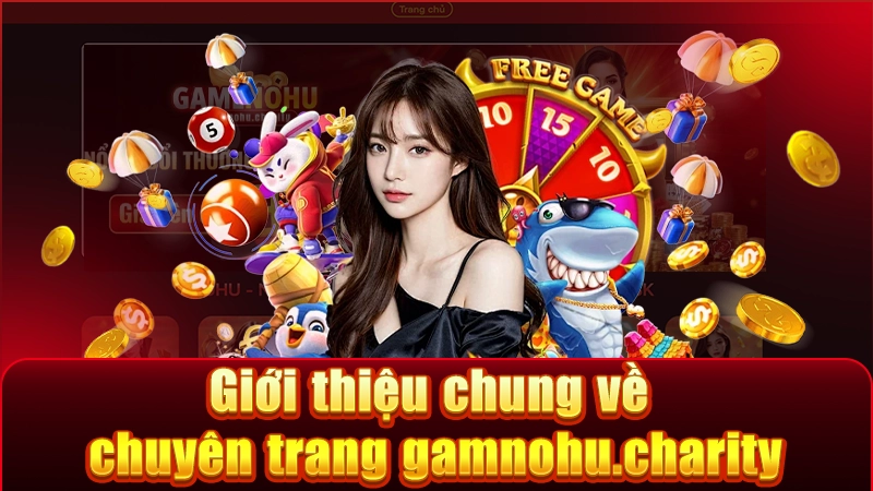 Giới thiệu giá trị và định hướng của chuyên trang gamnohu.charity